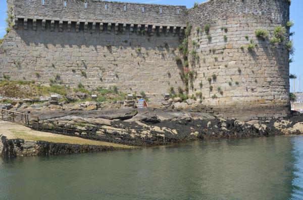 2025-05-18  F (01).JPG