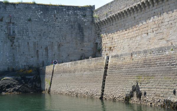 2025-05-18  F (2).JPG