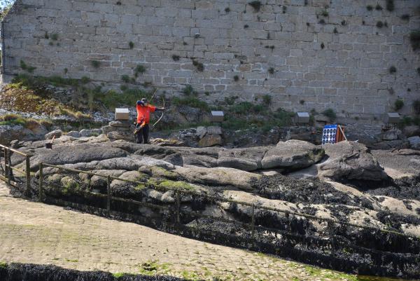 2025-05-18  F (32).JPG